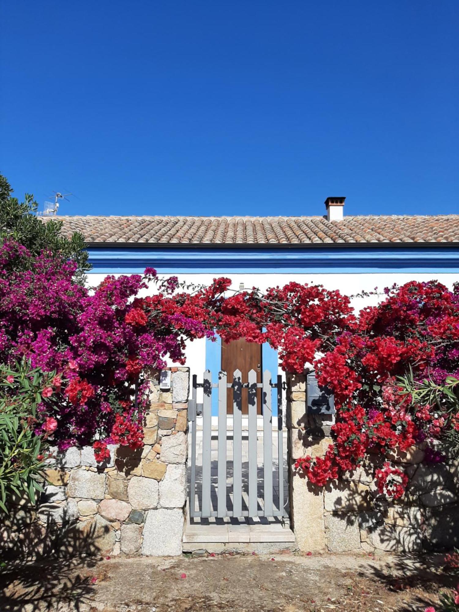 לינה וארוחת בוקר קסטיאדס Casale Diletta מראה חיצוני תמונה