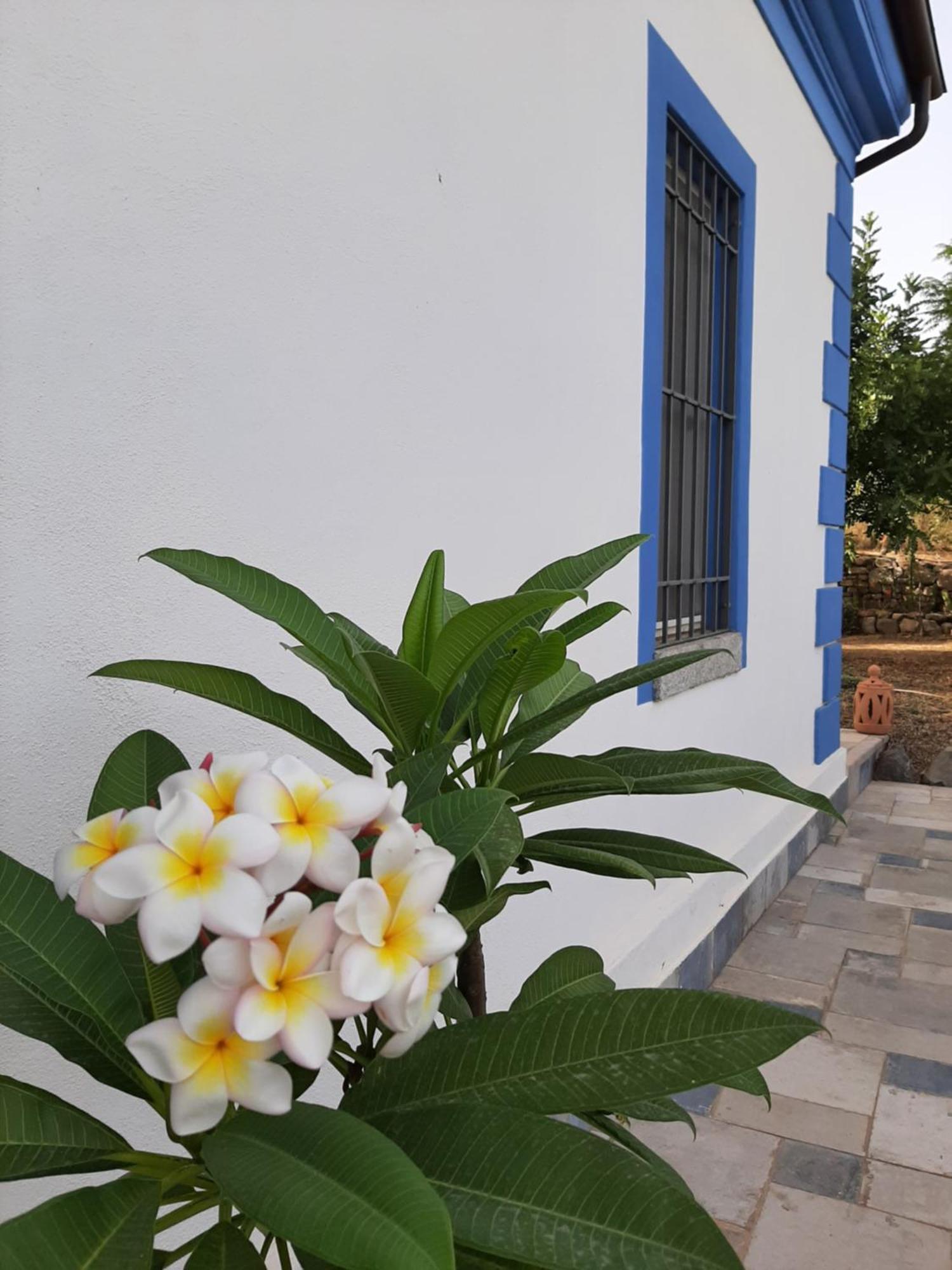 לינה וארוחת בוקר קסטיאדס Casale Diletta מראה חיצוני תמונה