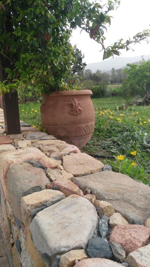 לינה וארוחת בוקר קסטיאדס Casale Diletta מראה חיצוני תמונה
