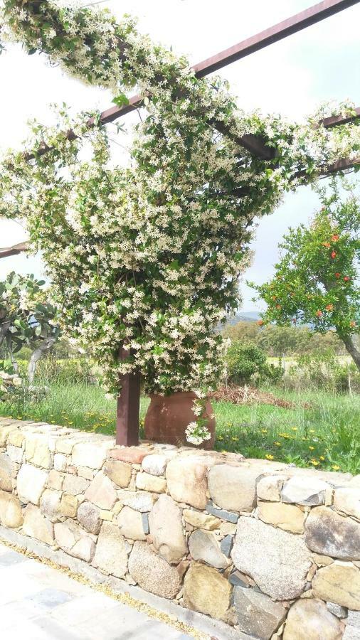 לינה וארוחת בוקר קסטיאדס Casale Diletta מראה חיצוני תמונה